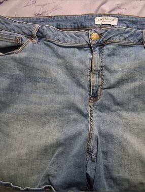 Lane Bryant Denim Shorts